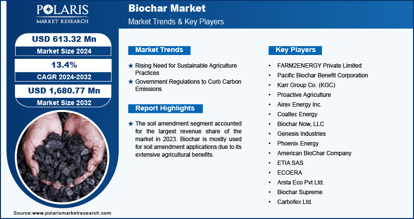 Biochar Market Info